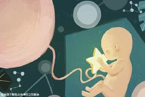 关于三代供卵试管选性别包生男孩